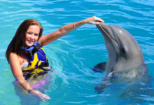 Aquaventuras Park:The Ultimate Family Adventure in Nuevo Vallarta