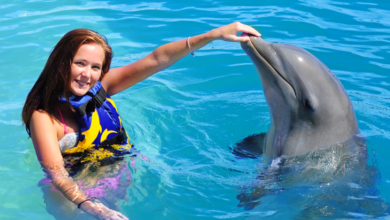 Aquaventuras Park:The Ultimate Family Adventure in Nuevo Vallarta