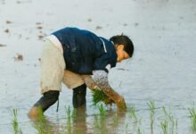 effective conversion strategies revealed