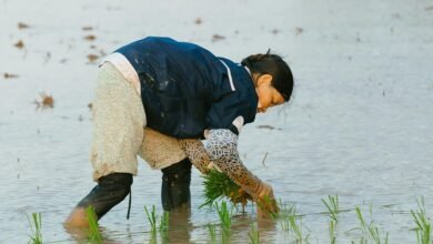 effective conversion strategies revealed